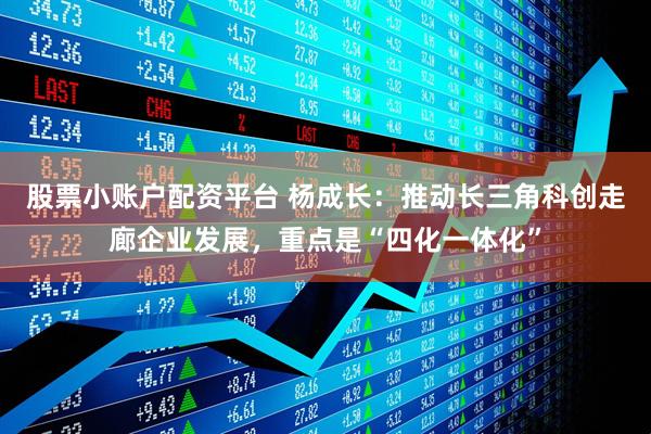 股票小账户配资平台 杨成长：推动长三角科创走廊企业发展，重点是“四化一体化”